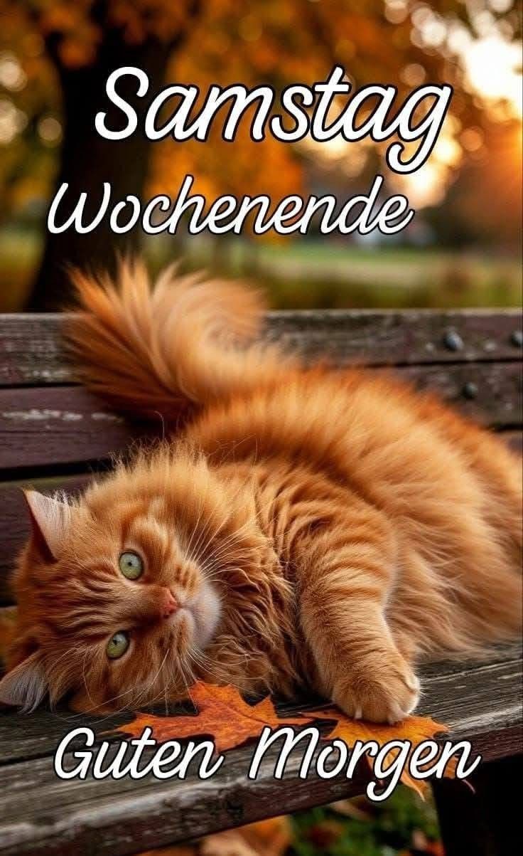 Schönen Samstag Bilder 136