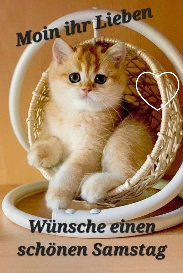 Schönen Samstag Bilder 147