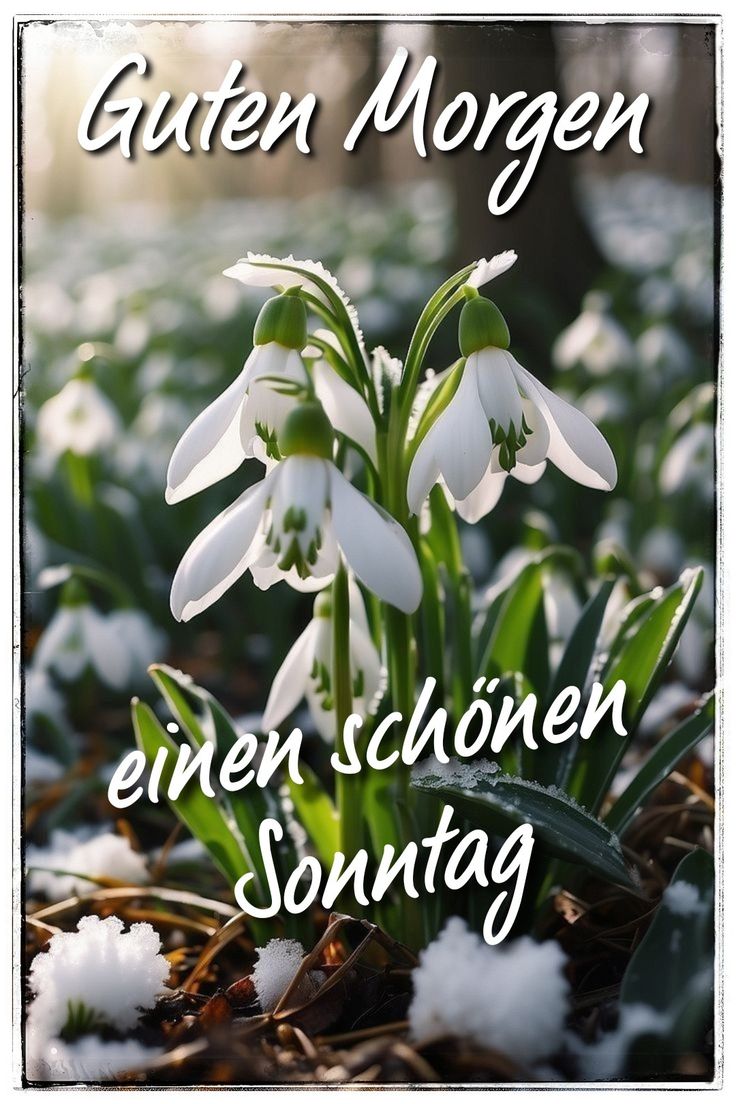 Schönen Samstag Bilder 17