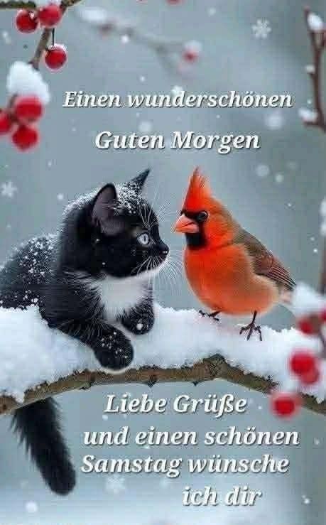 Schönen Samstag Bilder 20