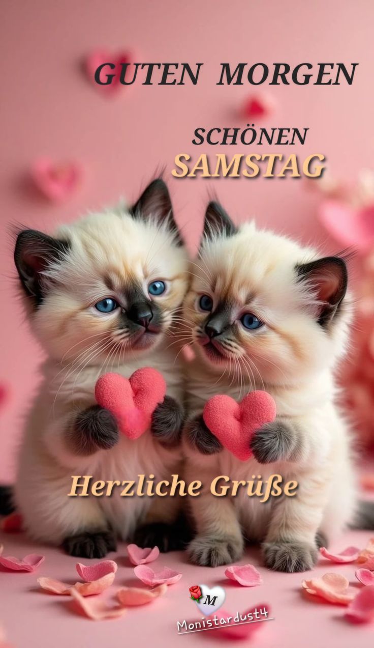 Schönen Samstag Bilder 46
