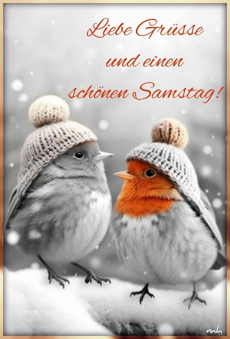 Schönen Samstag Bilder 51