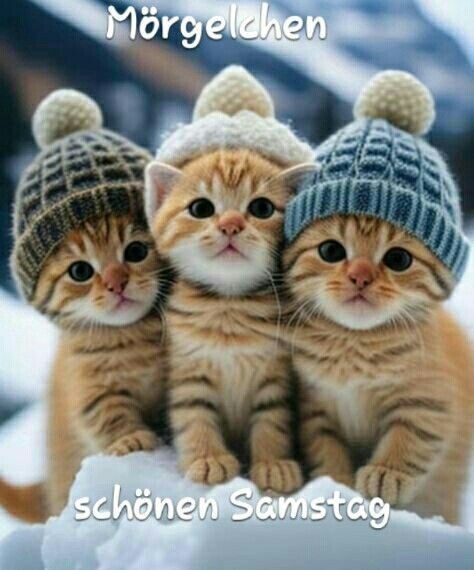 Schönen Samstag Bilder 6