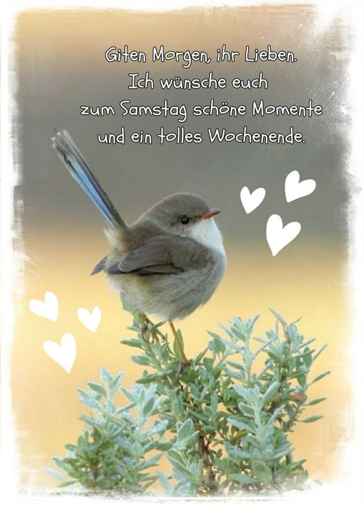 Schönen Samstag Bilder 60