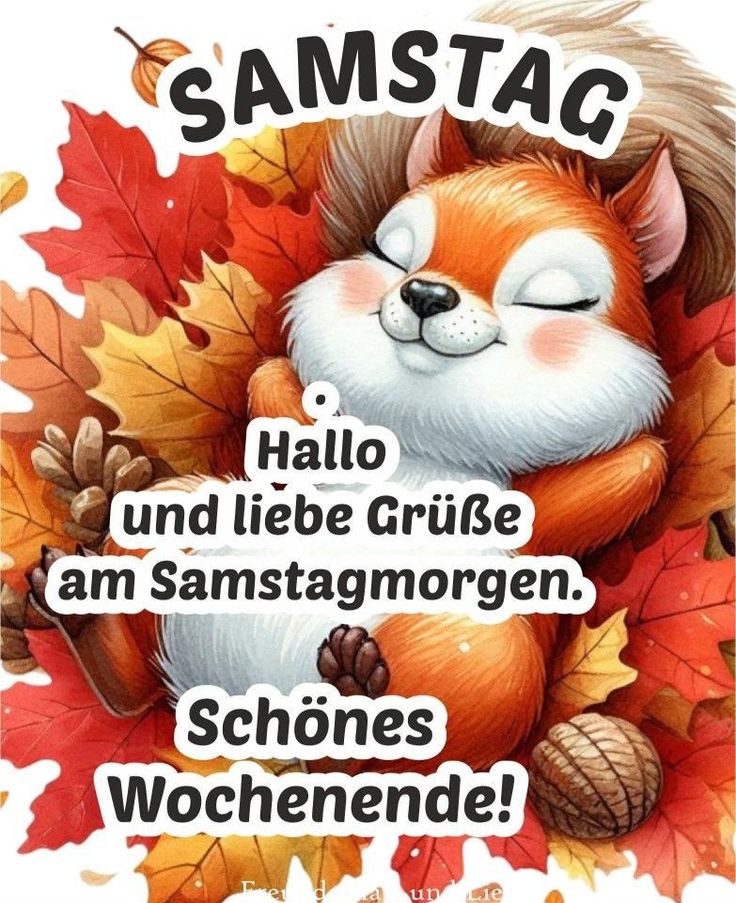 Schönen Samstag Bilder 78