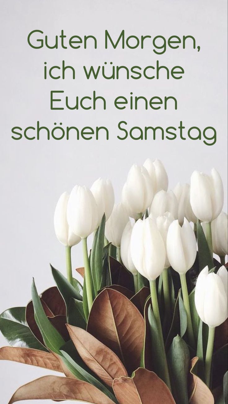 Schönen Samstag Bilder 89