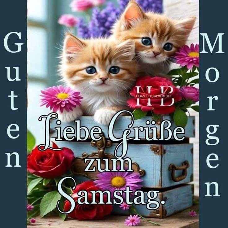 Schönen Samstag Bilder 96