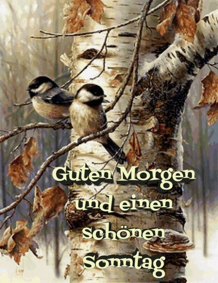 Schönen Sonntag Bilder 104