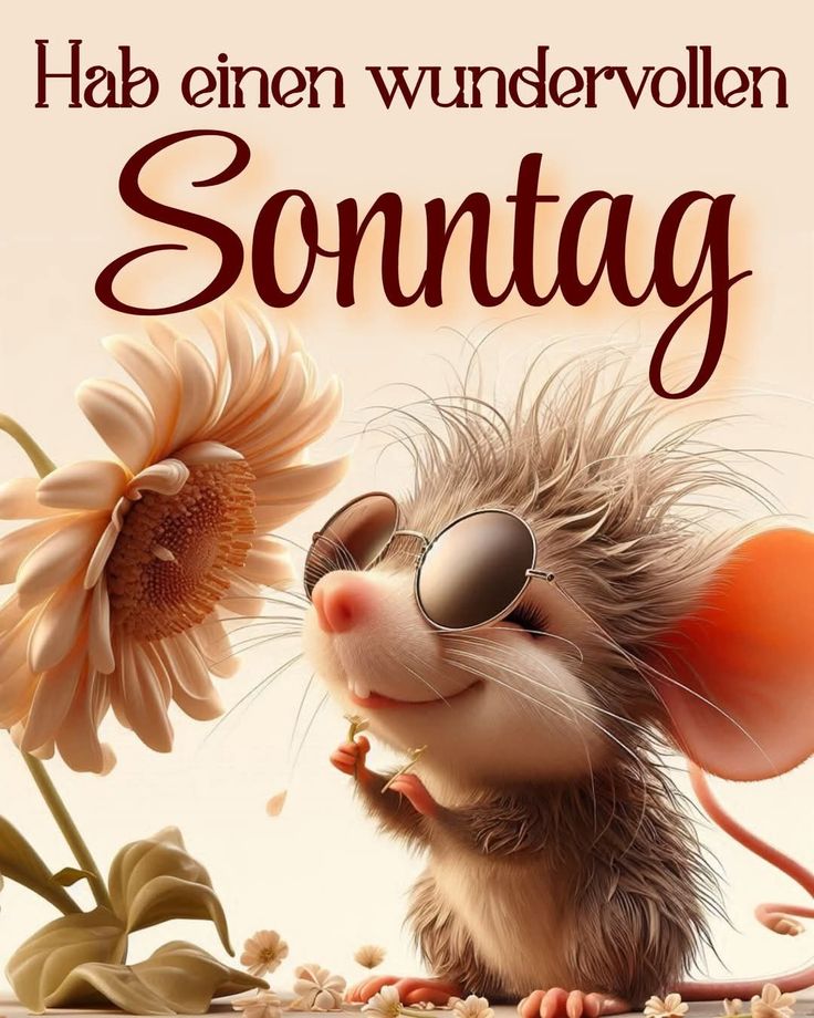 Schönen Sonntag Bilder 12