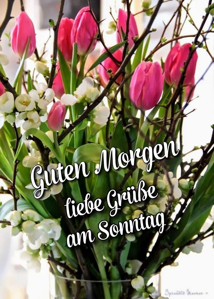 Schönen Sonntag Bilder 14