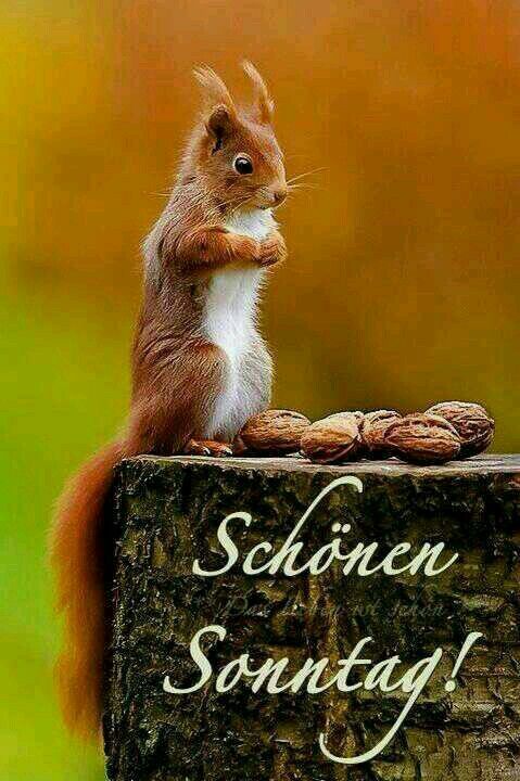 Schönen Sonntag Bilder 142