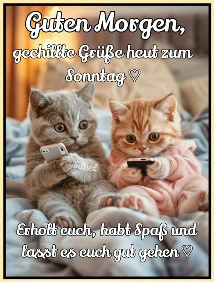 Schönen Sonntag Bilder 143