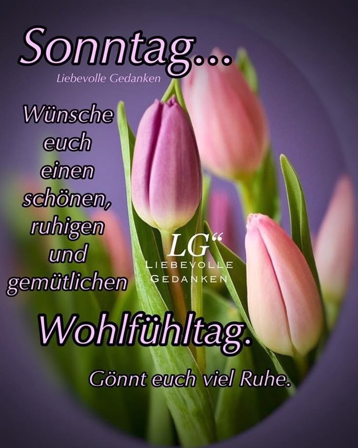 Schönen Sonntag Bilder 17