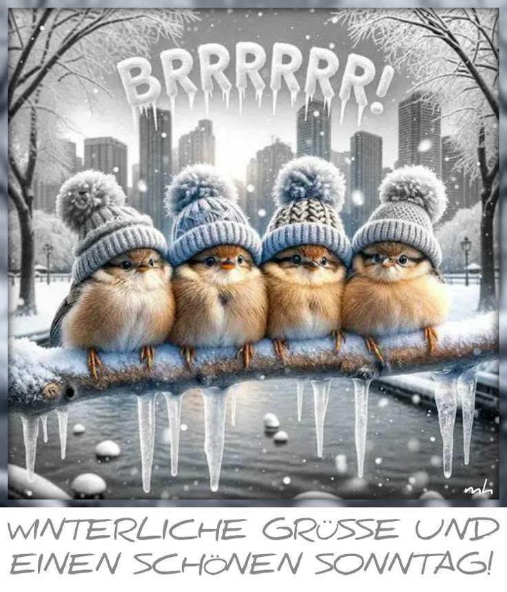 Schönen Sonntag Bilder 22