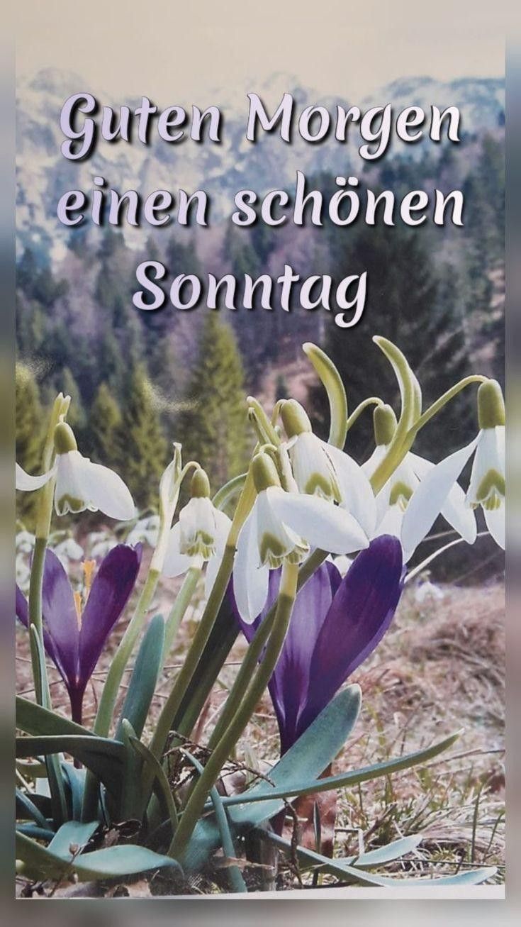 Schönen Sonntag Bilder 24