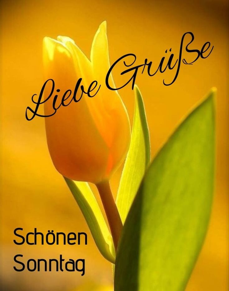 Schönen Sonntag Bilder 40