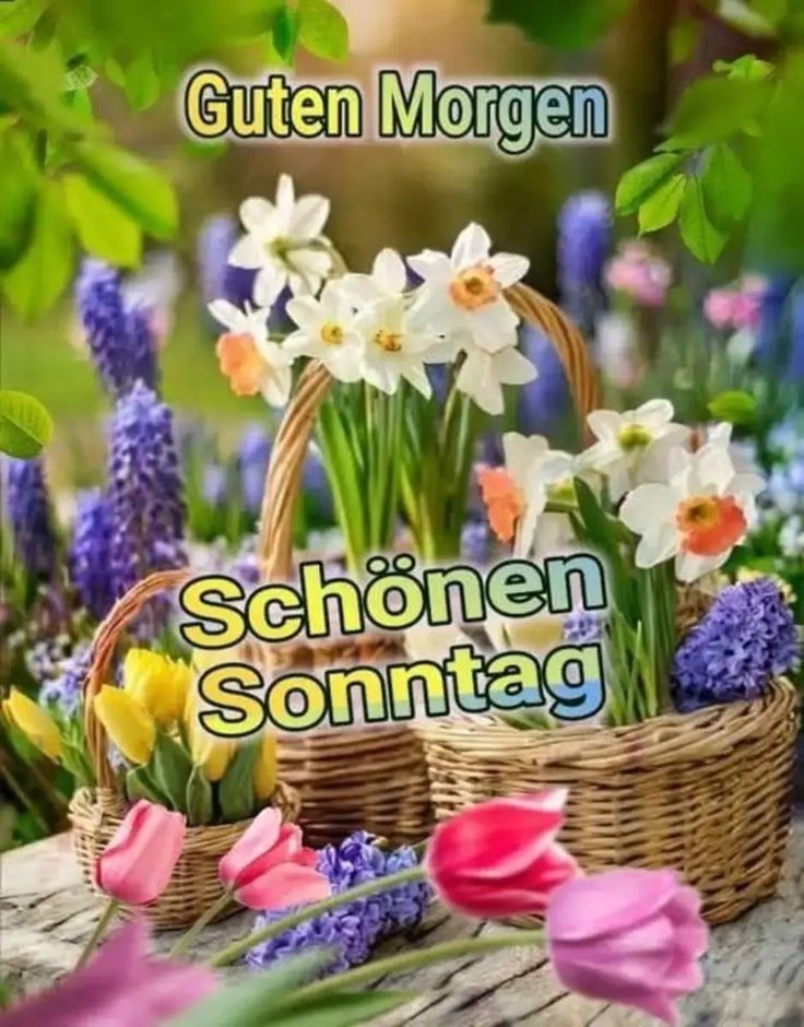 Schönen Sonntag Bilder 55