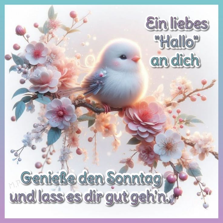 Schönen Sonntag Bilder 67