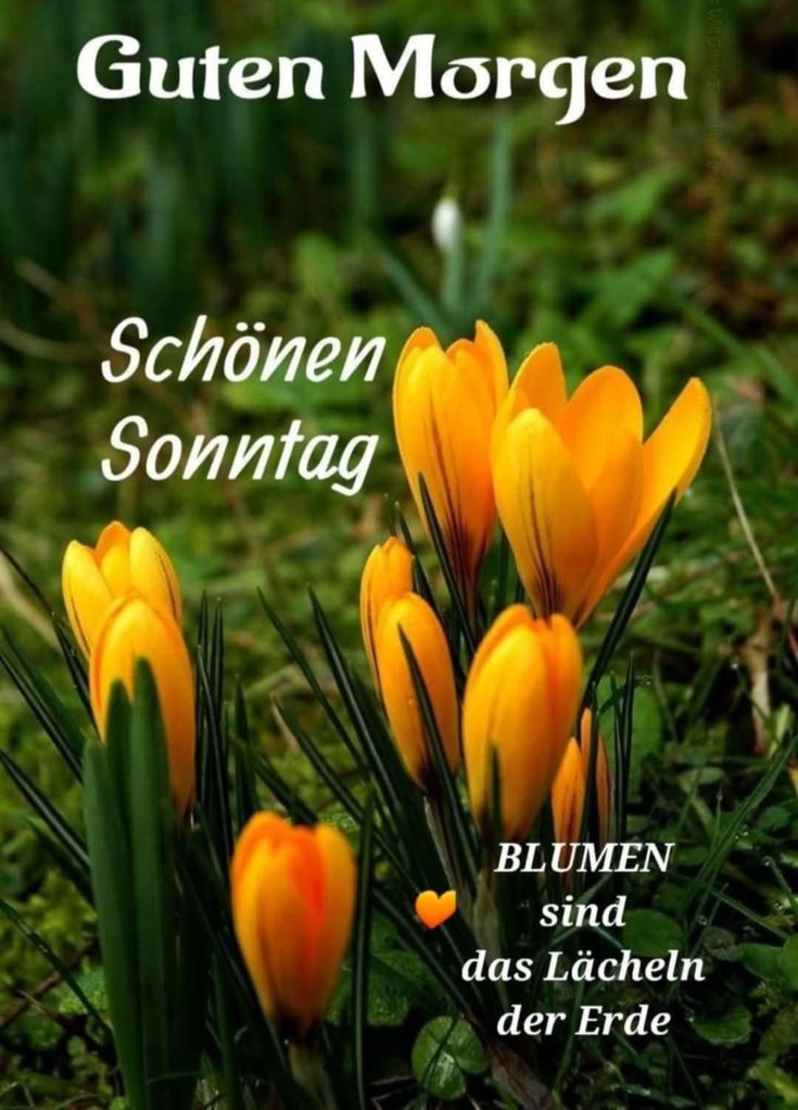 Schönen Sonntag Bilder 68