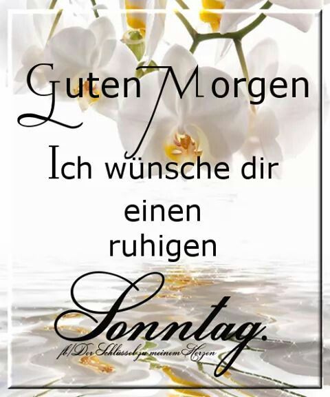 Schönen Sonntag Bilder 80