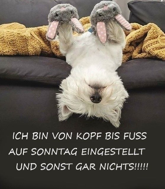 Schönen Sonntag Bilder 90