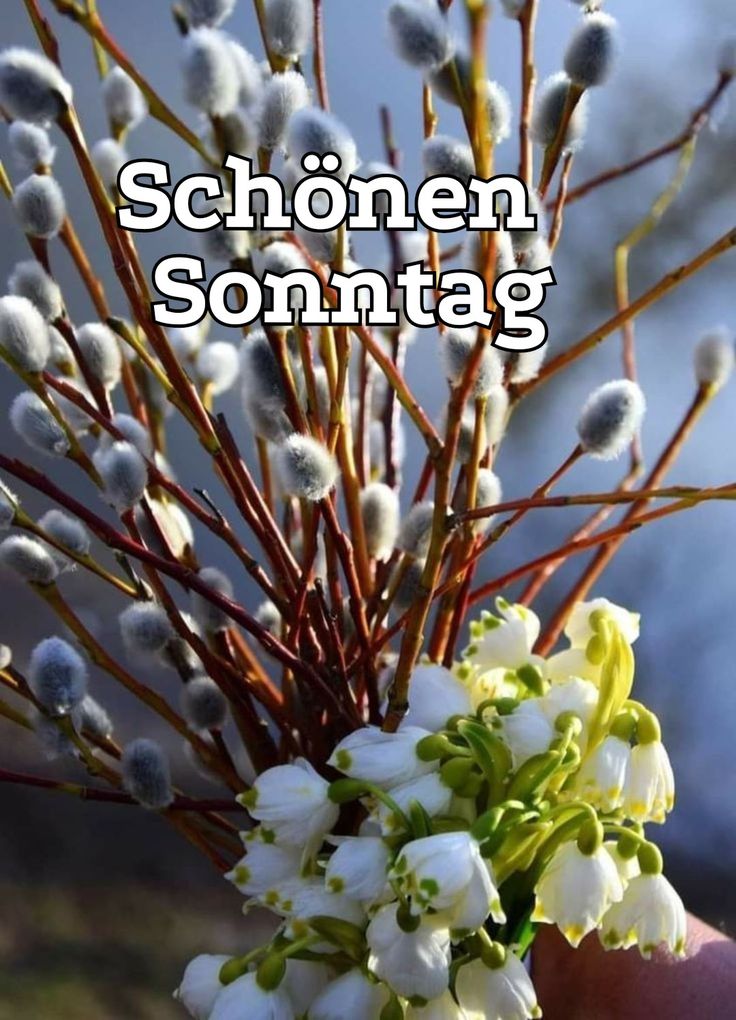Schönen Sonntag Bilder 98