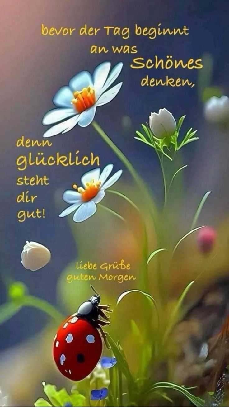 Schönen Tag Bilder 100