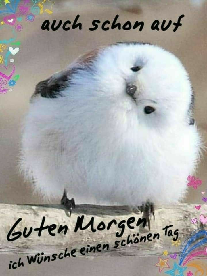 Schönen Tag Bilder 106