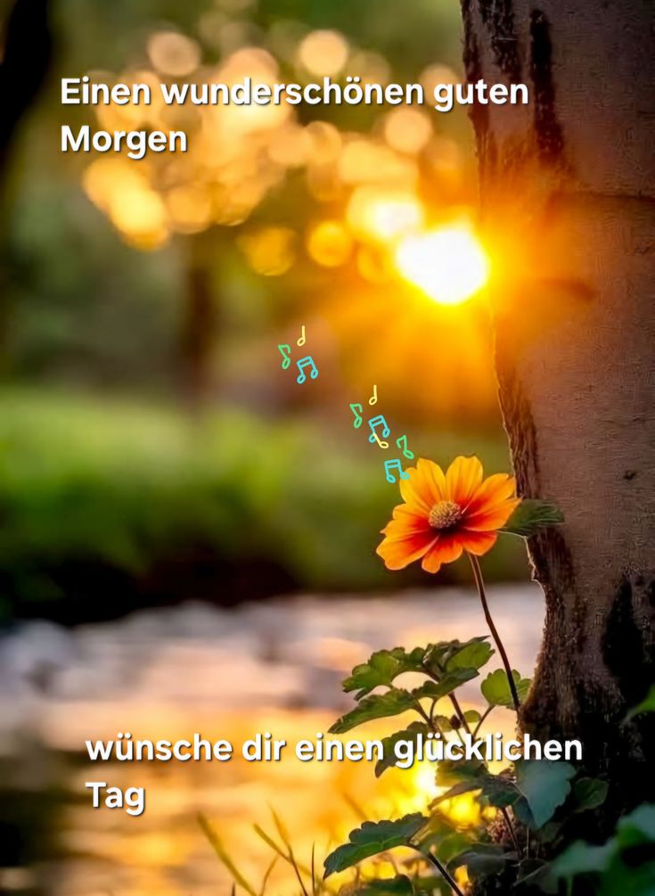 Schönen Tag Bilder 118