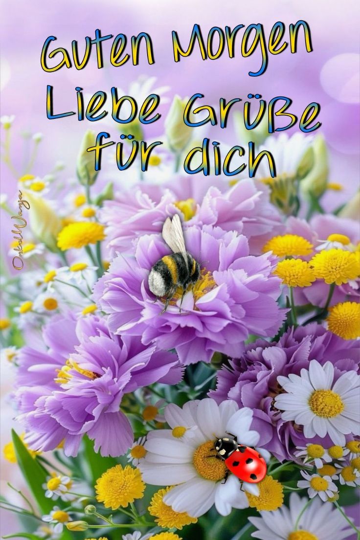 Schönen Tag Bilder 122