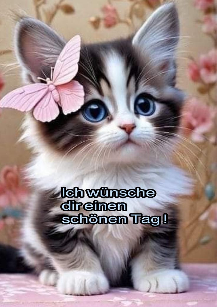 Schönen Tag Bilder 125
