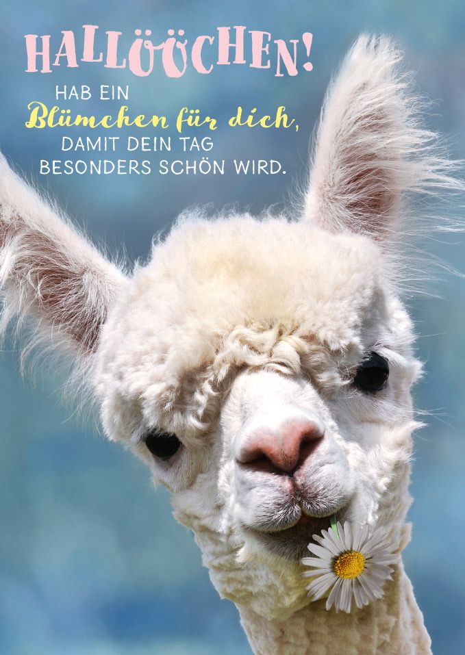 Schönen Tag Bilder 128