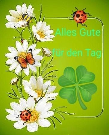 Schönen Tag Bilder 136