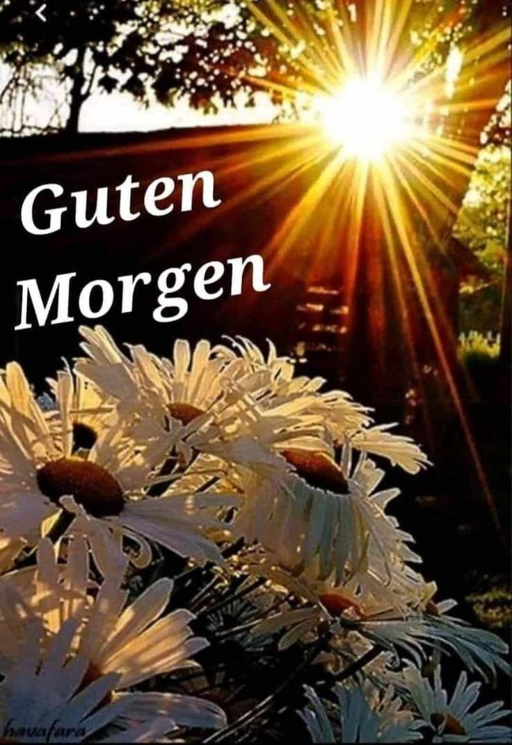 Schönen Tag Bilder 14
