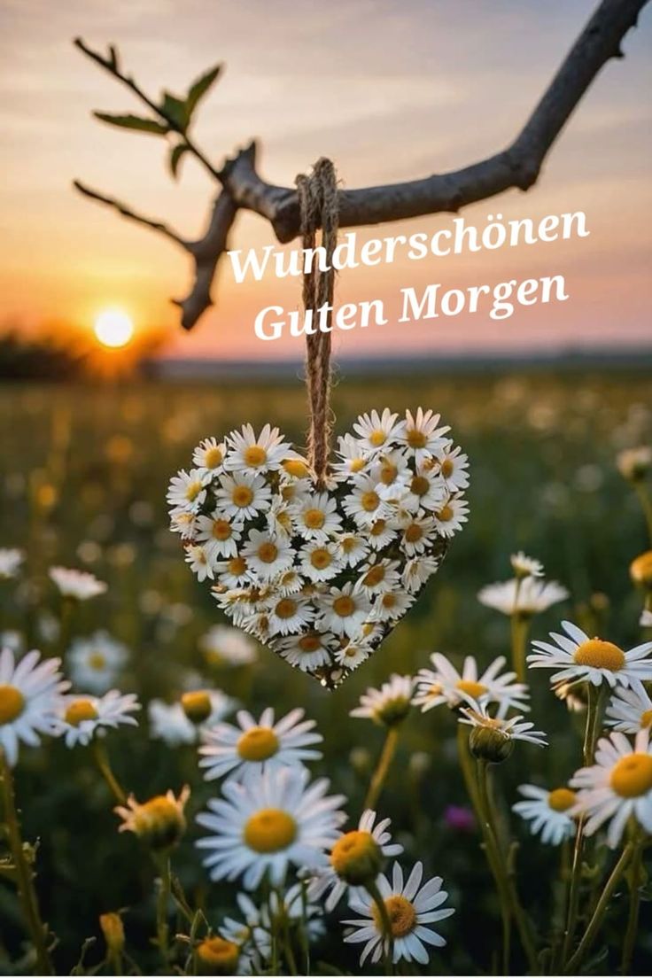 Schönen Tag Bilder 140