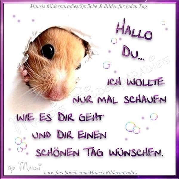Schönen Tag Bilder 144