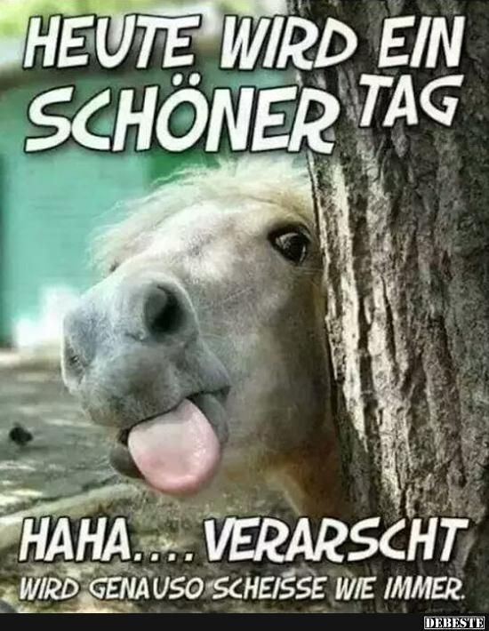 Schönen Tag Bilder 16