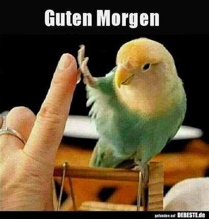 Schönen Tag Bilder 18