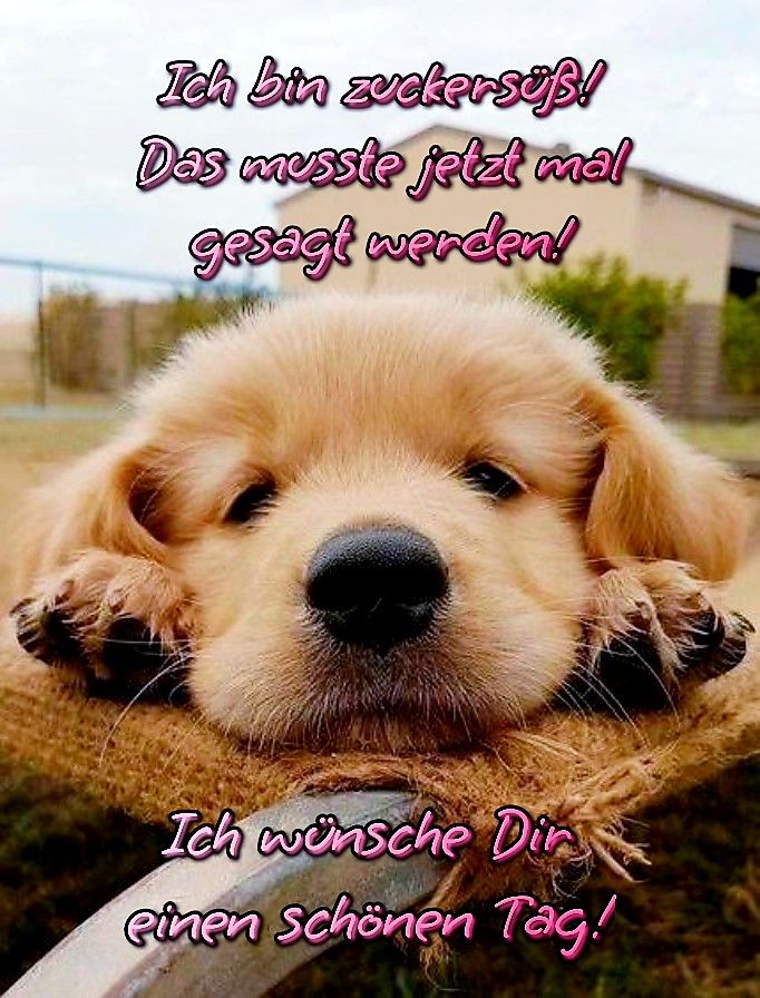Schönen Tag Bilder 23