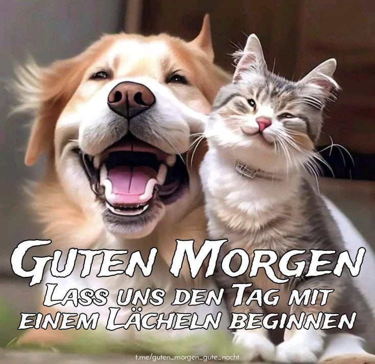Schönen Tag Bilder 38
