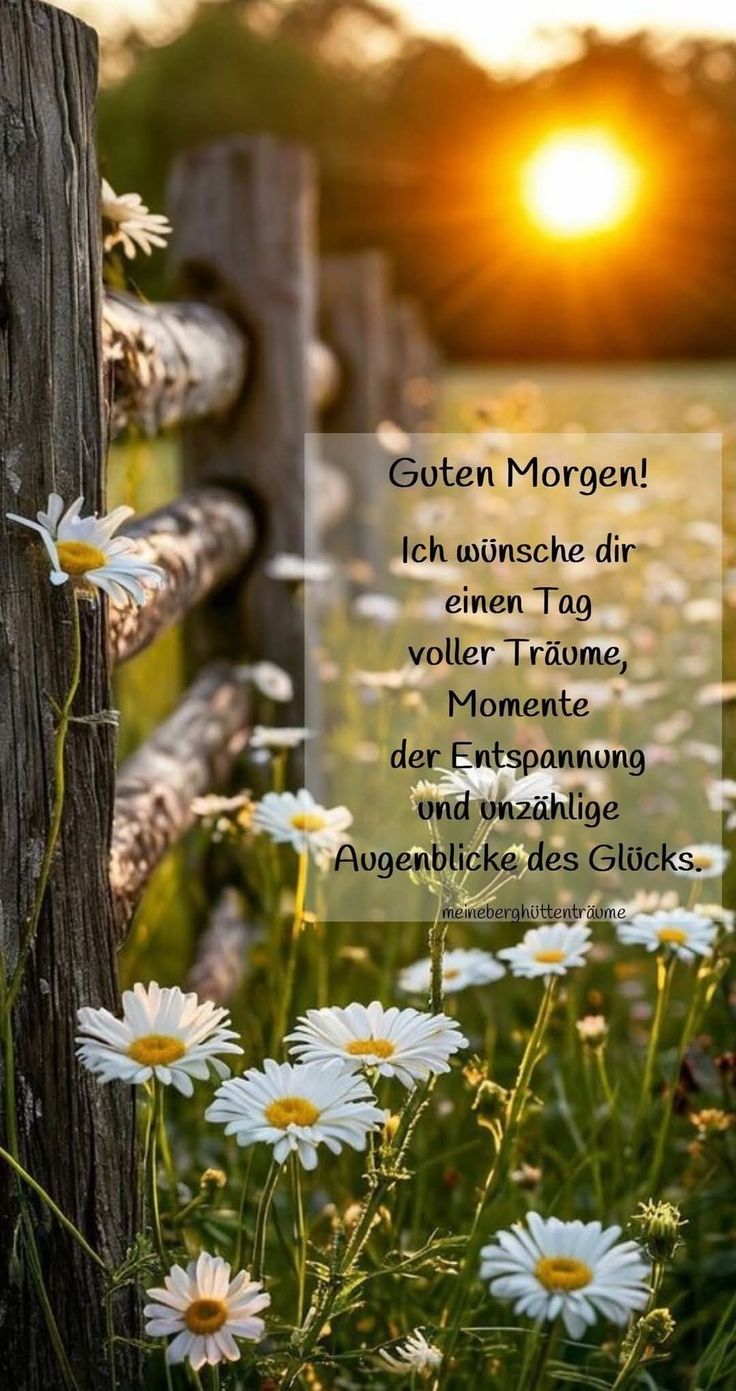 Schönen Tag Bilder 44