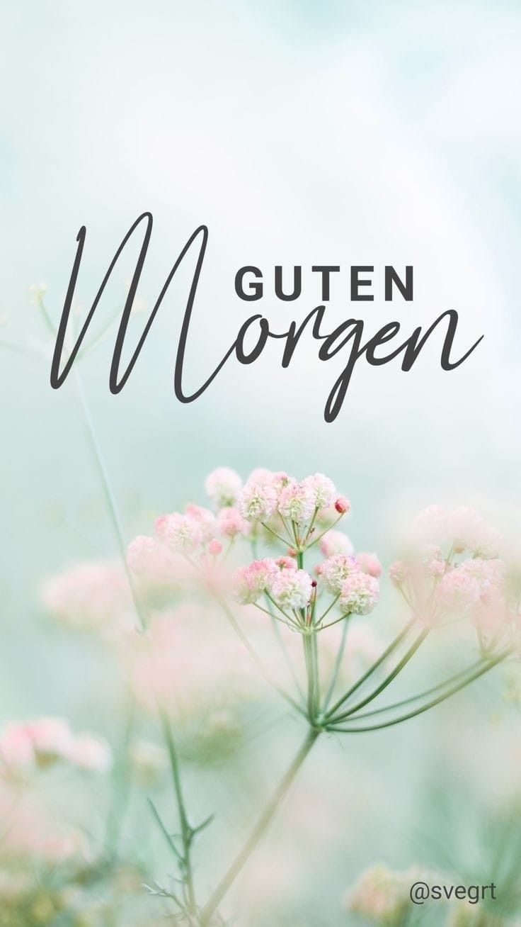 Schönen Tag Bilder 47