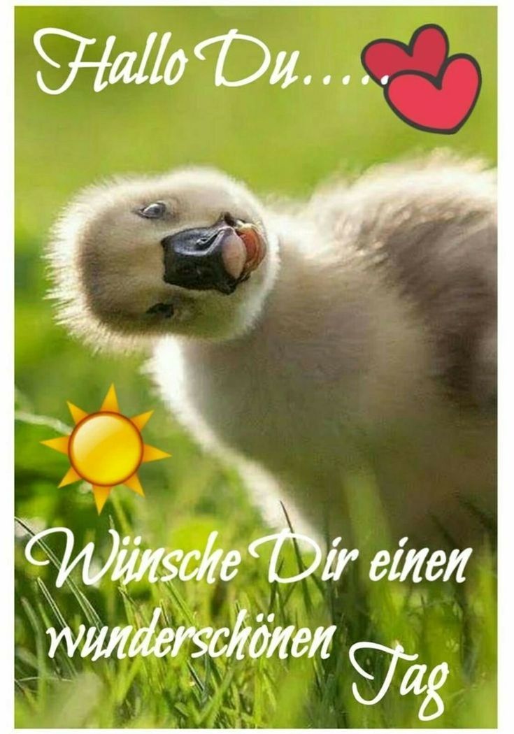 Schönen Tag Bilder 48