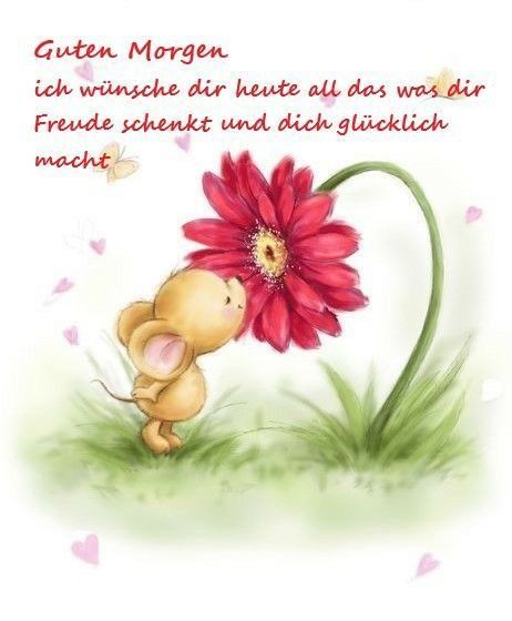 Schönen Tag Bilder 55