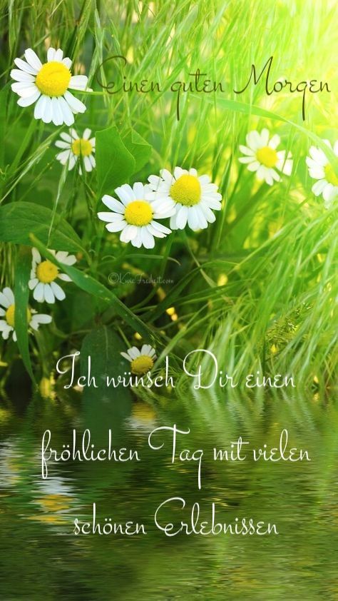 Schönen Tag Bilder 62