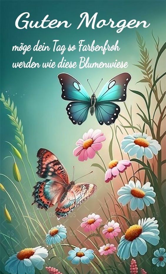 Schönen Tag Bilder 69