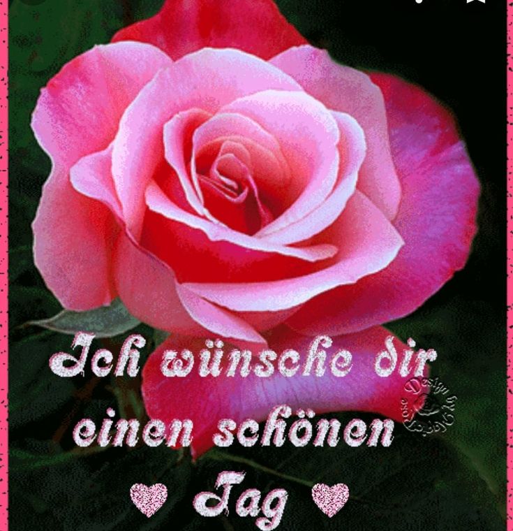 Schönen Tag Bilder 7