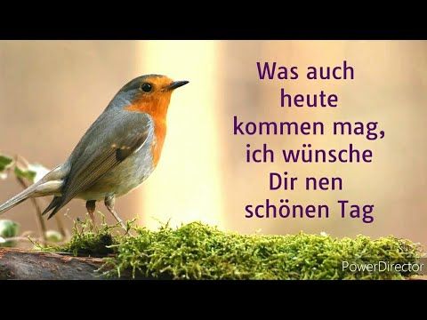 Schönen Tag Bilder 70