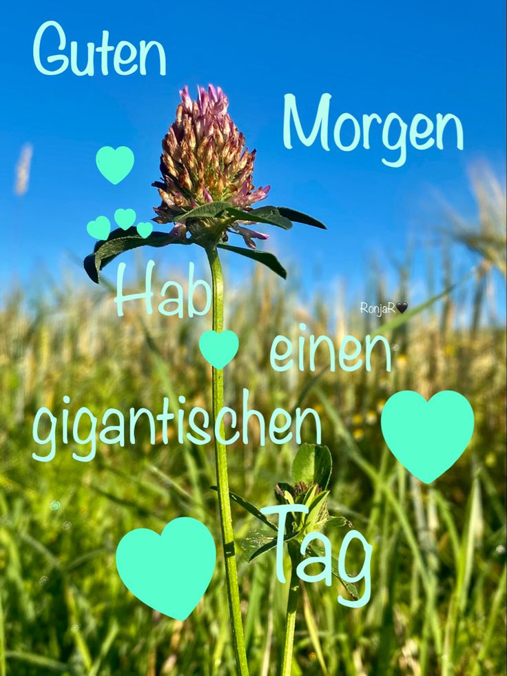 Schönen Tag Bilder 73