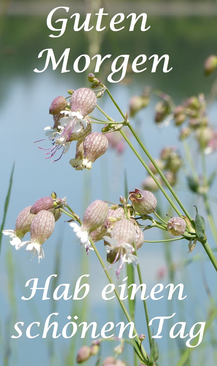 Schönen Tag Bilder 77